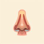 Kesehatan Hidung